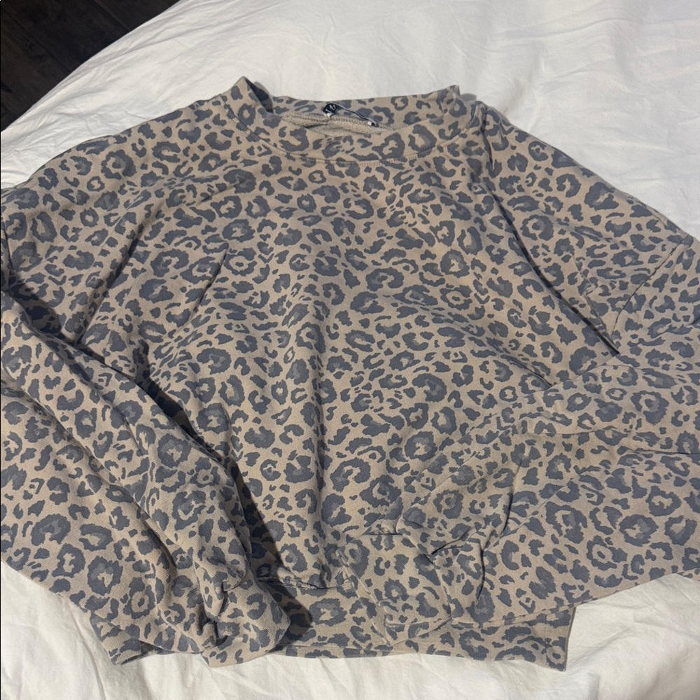 Zara Crop Sweatshirt